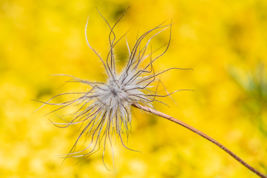 �1759629 �������(a): ����������:1920x1280